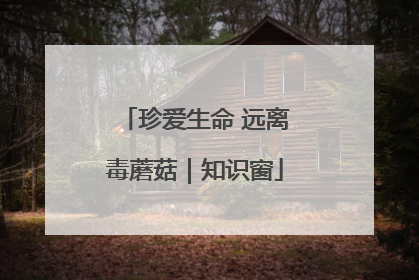 珍爱生命 远离毒蘑菇｜知识窗