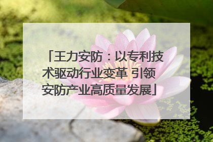 王力安防：以专利技术驱动行业变革 引领安防产业高质量发展
