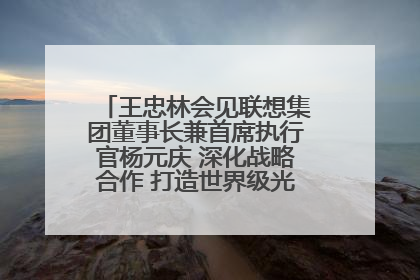 王忠林会见联想集团董事长兼首席执行官杨元庆 深化战略合作 打造世界级光电子信息产业集群