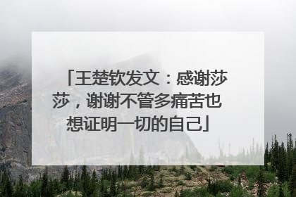 王楚钦发文：感谢莎莎，谢谢不管多痛苦也想证明一切的自己
