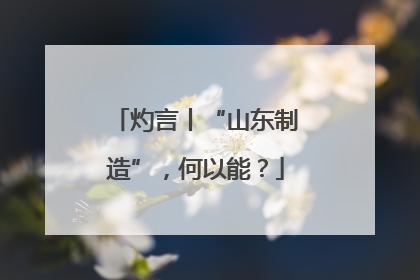 灼言丨“山东制造”，何以能？