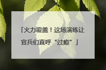 火力覆盖！这场演练让官兵们直呼“过瘾”