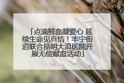点滴鲜血凝爱心 延续生命见真情！丰宁街道联合昆明大滇医院开展无偿献血活动