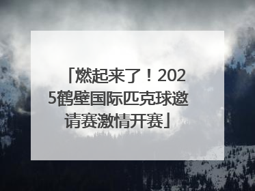 燃起来了！2025鹤壁国际匹克球邀请赛激情开赛