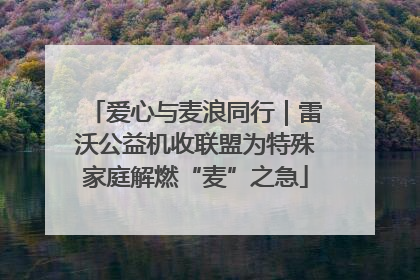 爱心与麦浪同行｜雷沃公益机收联盟为特殊家庭解燃“麦”之急