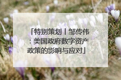 特别策划丨邹传伟：美国政府数字资产政策的影响与应对