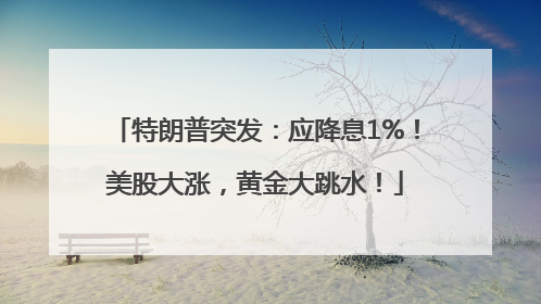 特朗普突发：应降息1%！美股大涨，黄金大跳水！