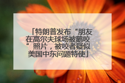 特朗普发布“朋友在高尔夫球场被鹅咬”照片，被咬者疑似美国中东问题特使