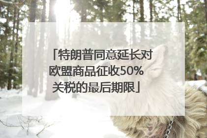 特朗普同意延长对欧盟商品征收50%关税的最后期限