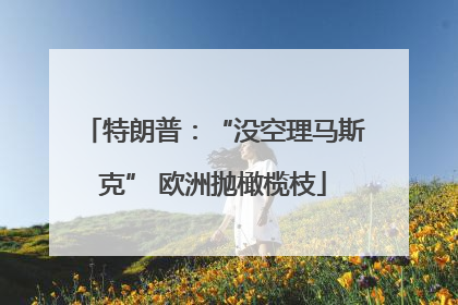 特朗普：“没空理马斯克” 欧洲抛橄榄枝