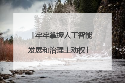 牢牢掌握人工智能发展和治理主动权