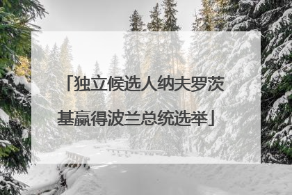 独立候选人纳夫罗茨基赢得波兰总统选举