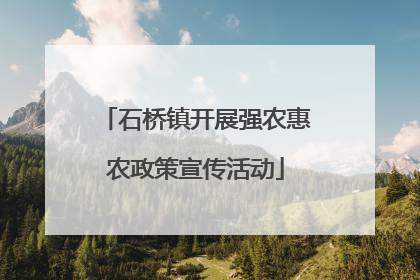 石桥镇开展强农惠农政策宣传活动