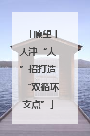 瞭望丨天津“大”招打造“双循环支点”