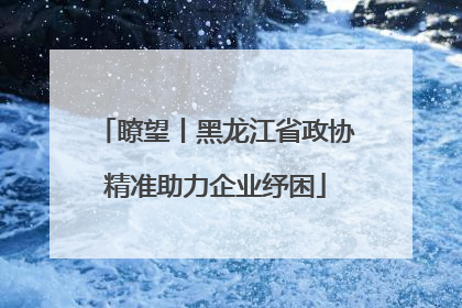 瞭望丨黑龙江省政协精准助力企业纾困