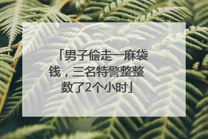 男子偷走一麻袋钱，三名特警整整数了2个小时