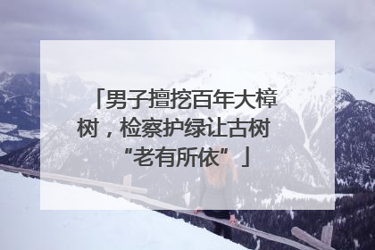 男子擅挖百年大樟树，检察护绿让古树“老有所依”
