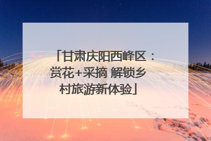 甘肃庆阳西峰区：赏花+采摘 解锁乡村旅游新体验