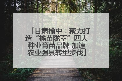 甘肃榆中：聚力打造“榆苗陇萃”四大种业育苗品牌 加速农业强县转型步伐