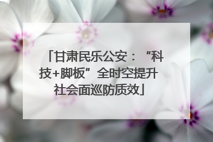 甘肃民乐公安：“科技+脚板”全时空提升社会面巡防质效