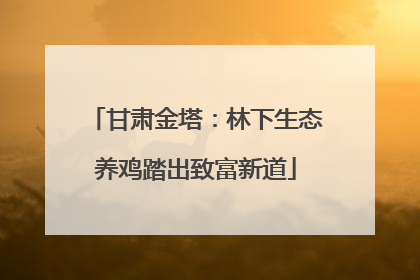 甘肃金塔：林下生态养鸡踏出致富新道
