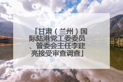 甘肃（兰州）国际陆港党工委委员、管委会主任李建亮接受审查调查