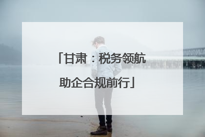 甘肃：税务领航 助企合规前行