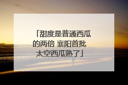 甜度是普通西瓜的两倍 襄阳首批太空西瓜熟了