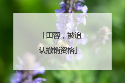 田蓉，被追认撤销资格