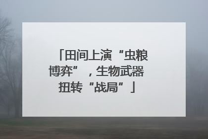 田间上演“虫粮博弈”，生物武器扭转“战局”