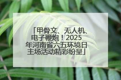 甲骨文、无人机、电子鞭炮！2025年河南省六五环境日主场活动精彩纷呈