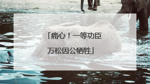 痛心！一等功臣万松因公牺牲