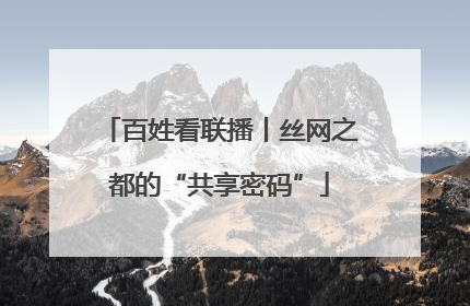 百姓看联播丨丝网之都的“共享密码”