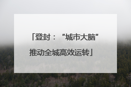 登封：“城市大脑”推动全城高效运转