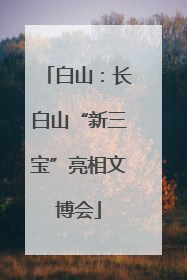 白山：长白山“新三宝”亮相文博会