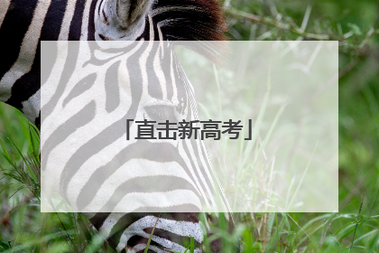 直击新高考