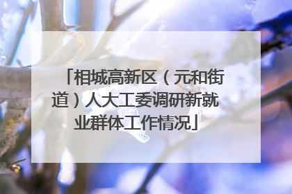 相城高新区（元和街道）人大工委调研新就业群体工作情况