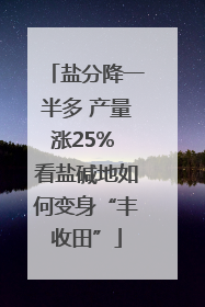 盐分降一半多 产量涨25% 看盐碱地如何变身“丰收田”
