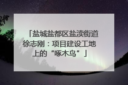盐城盐都区盐渎街道徐志刚：项目建设工地上的“啄木鸟”