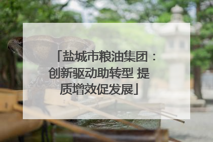 盐城市粮油集团：创新驱动助转型 提质增效促发展