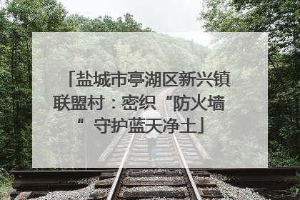 盐城市亭湖区新兴镇联盟村：密织“防火墙”守护蓝天净土