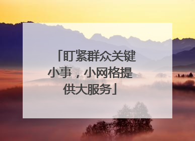 盯紧群众关键小事，小网格提供大服务