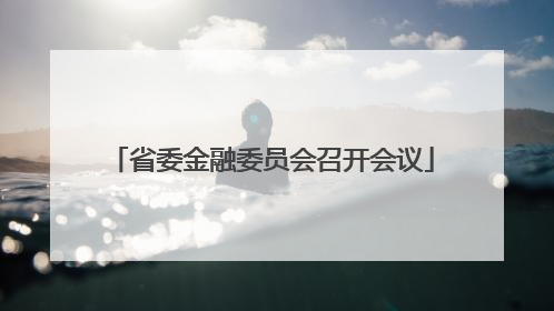 省委金融委员会召开会议