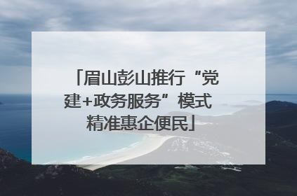 眉山彭山推行“党建+政务服务”模式 精准惠企便民