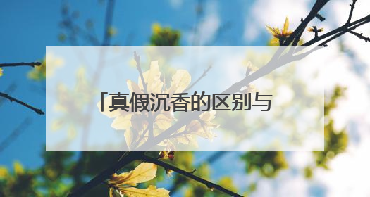 真假沉香的区别与特征有哪些？专家教你慧眼识真香