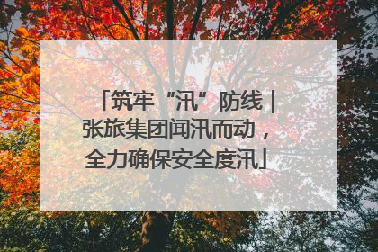 筑牢“汛”防线｜张旅集团闻汛而动，全力确保安全度汛