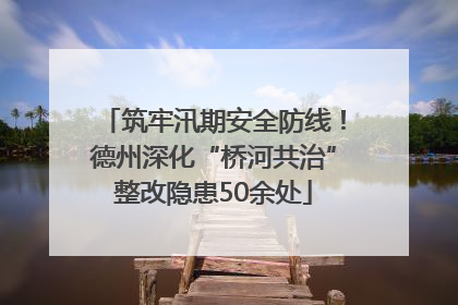 筑牢汛期安全防线！德州深化“桥河共治”整改隐患50余处