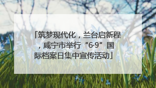 筑梦现代化，兰台启新程，咸宁市举行“6·9”国际档案日集中宣传活动