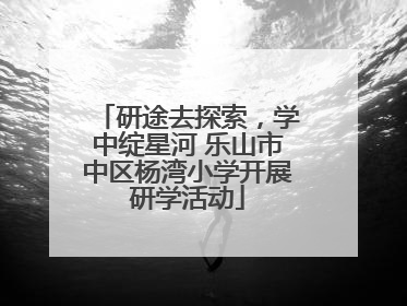 研途去探索，学中绽星河 乐山市中区杨湾小学开展研学活动