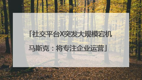 社交平台X突发大规模宕机 马斯克：将专注企业运营